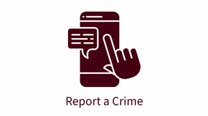 Report Crime
